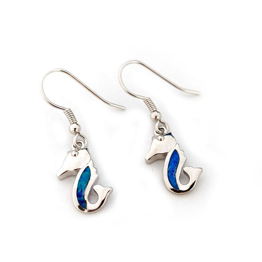 Silver earrings with blue accents on a white background