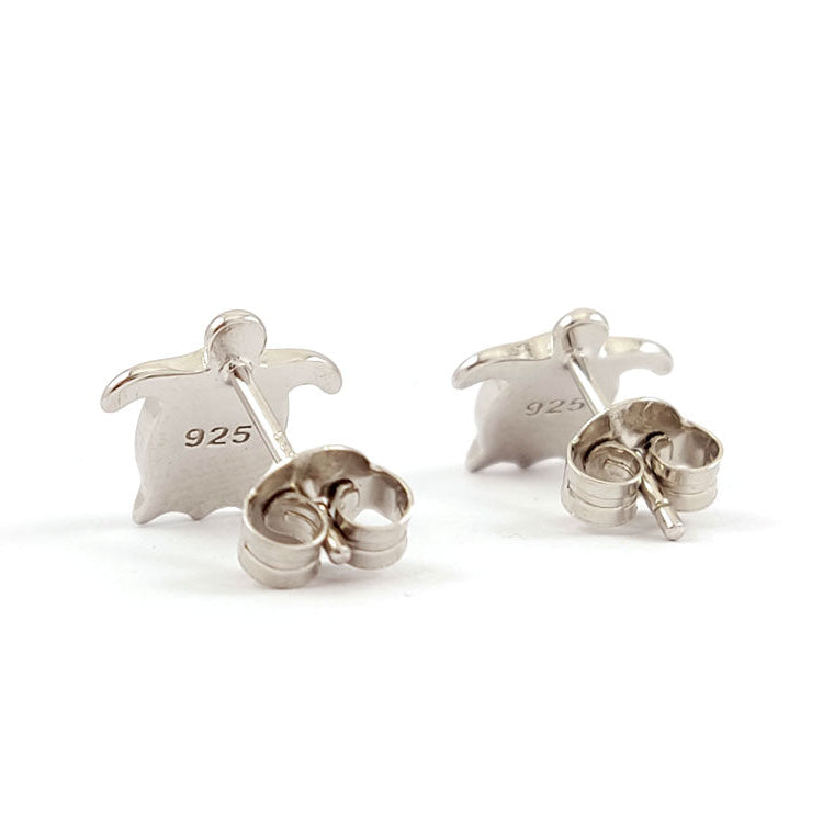 Pair of silver earrings on a white background